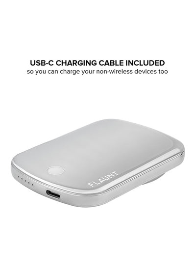 Silver rectangular battery pack with rounded edges, USB-C port, and status indicator dots along the side.