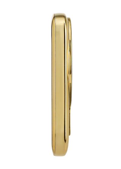 Gold MagSafe Battery Pack